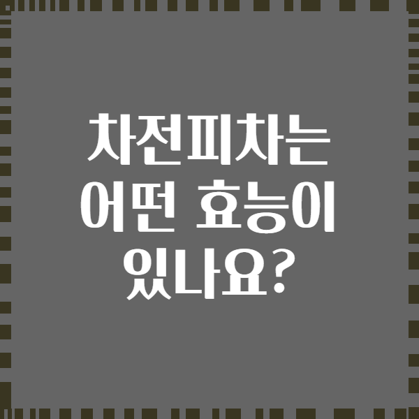 차전피차는 어떤 효능이 있나요?