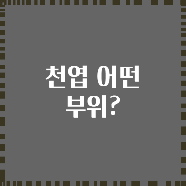 천엽 어떤 부위?