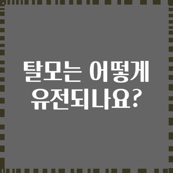 탈모는 어떻게 유전되나요?