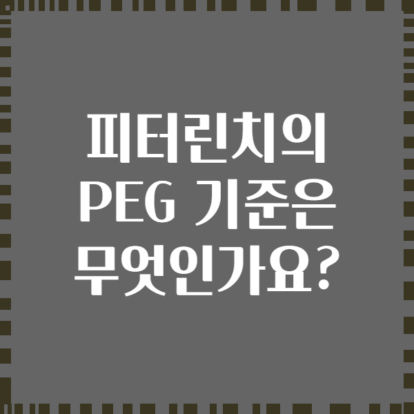 피터린치의 PEG 기준은 무엇인가요?