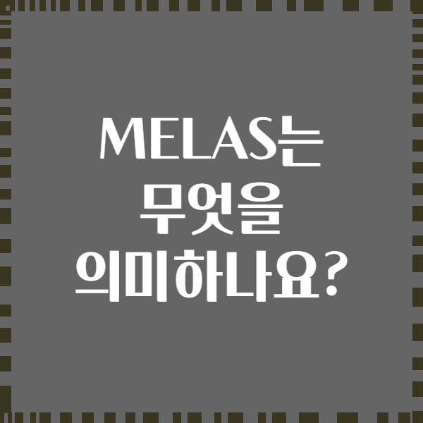 MELAS는 무엇을 의미하나요?