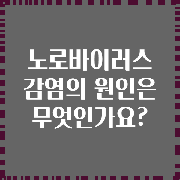 노로바이러스 감염의 원인은 무엇인가요?