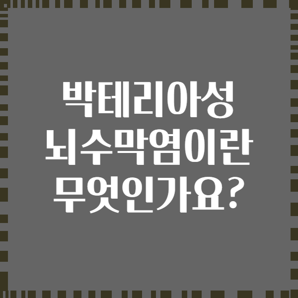 박테리아성 뇌수막염이란 무엇인가요?