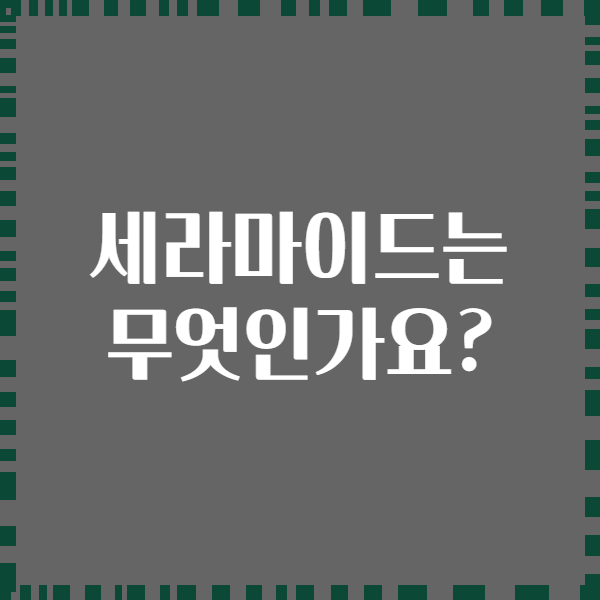 세라마이드는 무엇인가요?