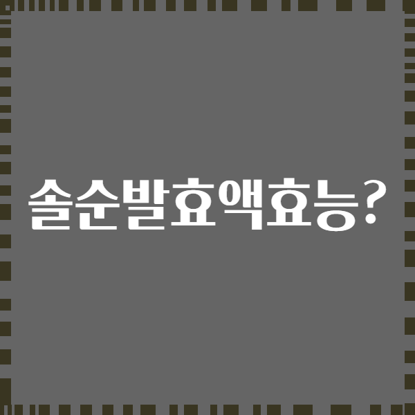 솔순발효액효능?
