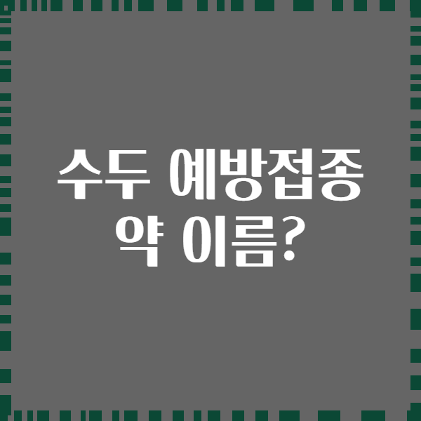 수두 예방접종 약 이름?
