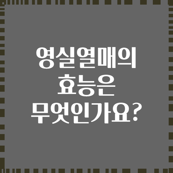 영실열매의 효능은 무엇인가요?