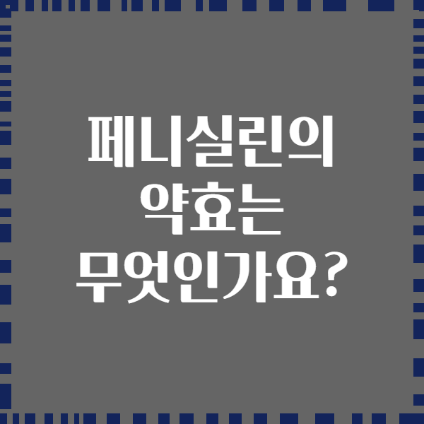 페니실린의 약효는 무엇인가요?