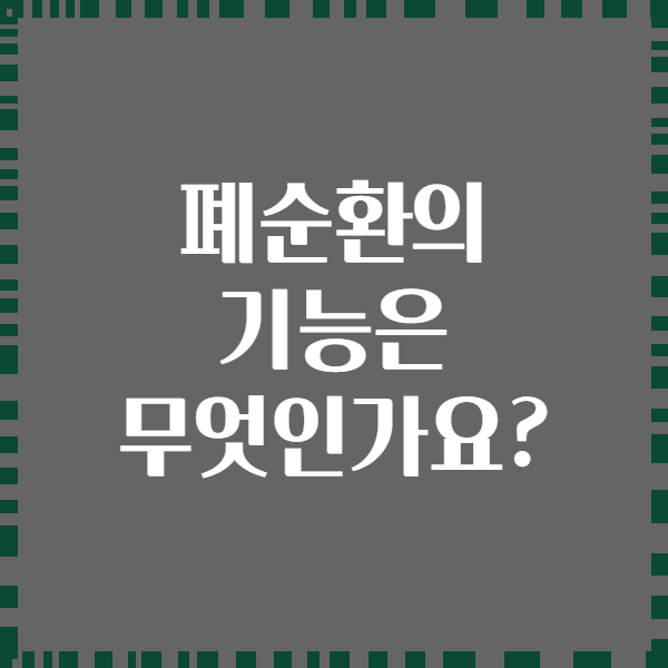폐순환의 기능은 무엇인가요?
