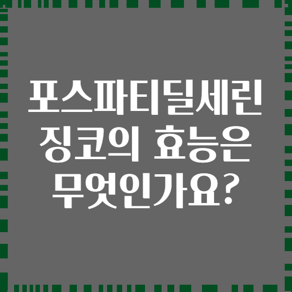 포스파티딜세린 징코의 효능은 무엇인가요?